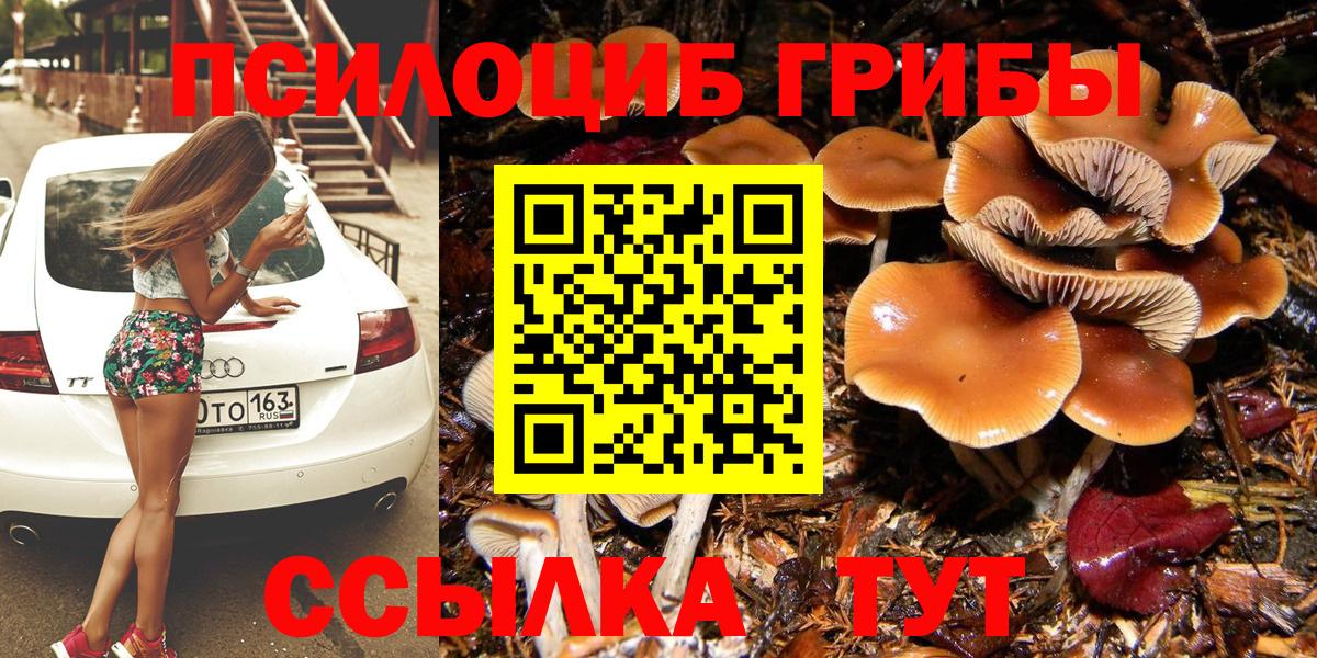 Псилоцибиновые грибы Cubensis  Галлюциногенные грибы GOLDEN TEACHER  Вход с VPN  Ахтубинск 